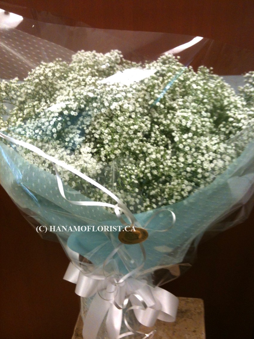 HAND608 Baby Breath Handtied